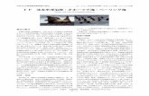 （Steller Sea Lion, Eumetopias jubatus）kokushi.fra.go.jp/H30/H30_57.pdf · トド 北太平洋沿岸・オホーツク海・ベーリング海 （Steller Sea Lion, Eumetopias jubatus）