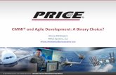 CMMI® and Agile Development: A Binary Choice? · § CMMI-Dev is a model to help organizations improve development processes towards improved project productivity and product quality