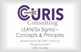 LEAN/Six Sigma Concepts & Principles · *All documents are property of Curis Consulting. Do not duplicate or distribute without written permission. LEAN Principles – What Does it