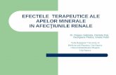 EFECTELE TERAPEUTICE ALE APELOR MINERALE IN AFEC …bioclima.ro/46CNB.pdf · Datorităcomponentelor chimice foarte variate, apele minerale influenţeazăactivitatea biologicăa celulelor,