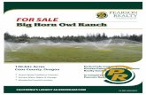 Big Horn Owl Ranch - Pearson Realty · Big Horn Owl Ranch 140.64± Acres Coos County, Oregon • Ocean Spray Cranberry Contract • Surface Water Rights & Storage • Wonderful Coastal