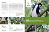 KAFA Biosphere Reserve - Naturschutzbund Deutschlandimperia.verbandsnetz.nabu.de/.../kafa-ethiopia-hidden-treasure_2.pdf · Kafa Biosphere Reserve in brief Location: southwest Ethiopia