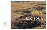ECO TOUR - webbook.me.go.krwebbook.me.go.kr/DLi-File/pdf/2010/07/202635.pdf · eco tour 그동안우리는이렇게아름답고소중한우리의땅과자연을우리스스로가높이평가하지못하고먼발치에