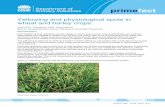 Yellowing and physiological spots in wheat and barley crops · Yellowing and physiological spots in wheat and barley crops . 3 . NSW Department of Primary Industries, September 2015