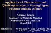Application of Chemometric and QSAR Approaches to Scoring ... file-35.0 < Ki < -25.0 Ki > -25.0. Algorithm to establish complementarity between ligands and their receptors