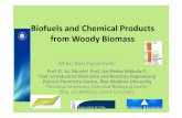 Biofuels and Chemical Products from Woody Biomassbiocombustibles/taller4_Sari.pdf · Biofuels and Chemical Products from Woody Biomass M.Sc. Sari Hyvärinen 1 Prof. D. Yu. Murzin
