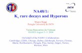 NA48/1: Ks rare decays and Hyperons - pg.infn.it fileNA48/1: Ks rare decays and Hyperons Mauro Raggi Perugia University & INFN Vemes Rencontres du Vietnam HANOI August 5-11 2004 On