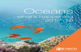 Oceans - OECD · sustainable oceans The world’s oceans, seas and marine resources provide invaluable benefits to our economies and to human well-being. We depend on them for food,