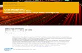 First Guidance SAP NetWeaver BW: Implementation SAP-NLS ... · SAP First Guidance SAP NetWeaver BW 7.3x SAP Realtime Database Platform . Applicable Releases: SAP NetWeaver BW 7.30