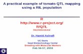 A practical example of tomato QTL mapping using a RIL ... Final.pdf · om1 om2 om3 om4 om5 om6 om7 om8 om9 om10 om11 om12 31 34 20 23 17 18 22 24 14 25 24 30 > totmar(ril) [1]