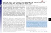Pleiotropic age-dependent effects of mitochondrial ... · Pleiotropic age-dependent effects of mitochondrial dysfunction on epidermal stem cells Michael C. Velardea, Marco Demariaa,
