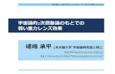 ~ kS 2c Yk'+&%' 7 - ska-jp.orgska-jp.org/ws/files/22-saga.pdf · 1.1 0L