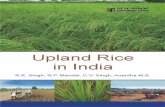 Upland Rice in - scientificpub.com · The purpose of the process documentation is to pool the scattered information related to upland rice cultivation in the country in a book form