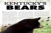 KENTUCKY’S BEARS bears.pdf · KENTUCKY’S BEARS I N 1894, NORTH CAROLINA phar-macist Lunsford Richardson blended menthol, eucalyptus, camphor and pe- troleum jelly into an aromatic