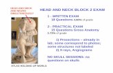 HEAD AND NECK HEAD AND NECK BLOCK 2 EXAM AND … · head and neck and neuro simultaneously atlas holding up world. advice on how to take the head and neck exam draw: 1. cranial nerve