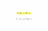 Tuberculosis - كلية الطب · •Tuberculosis flourishes under conditions of . poverty, crowding, and . chronic debilitating illness, elderly persons, with their weakened defenses