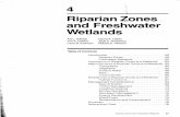 i Riparian Zones - US Forest Service · riparian or freshwater wetland habitat to survive. Many others show a preference for these habitats even though their survival may not be dependent