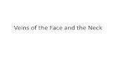 Veins of the Face and the Neck - qu.edu.iqqu.edu.iq/den/wp-content/uploads/2015/10/Veins-of-the-Face-and-the-Neck.pdf · Veins of the Face and the Neck. Facial Vein •The facial