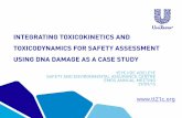 INTEGRATING TOXICOKINETICS AND TOXICODYNAMICS FOR … · integrating toxicokinetics and toxicodynamics for safety assessment using dna damage as a case study yeyejide adeleye safety