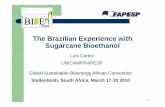 The Brazilian Experience with Sugarcane Bioethanolacademic.sun.ac.za/biofuels/Convention/17 March/Luis Cortes - Brazilian... · Phases in Brazilian Ethanol 6 Incece ves, d o y b e