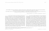 DISTRIBUTION, STATUS AND NATURAL HISTORY NOTES ON ... · distribution, status and natural history notes on rockhopper PENGUINS ( EUDYPTES CHRYSOCOME ) IN CHILE DISTRIBUCIÓN, ESTATUS