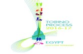 TORINO PROCESS 2016-17 - etf.europa.eu · TORINO PROCESS 2016–17 EGYPT EXECUTIVE SUMMARY 1. Introduction The technical and vocational education and training (TVET) sector plays
