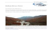 Balkan Rivers News 12 Balkan Rivers news.pdf · Petition: Save the Cetina River, Croatia! The Cetina is under threat from a gas-fired thermal power The Cetina is under threat from