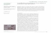 Crystallization and preliminary X-ray analysis of ... · Signiﬁcant sequence and functional differences between Leishmania major and human GLO1 suggest that it may make a suitable