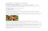 Chapter 5 - Phloem transport · Phloem conduits from the leaves distribute sugars to the growing inflorescence, with flower buds arranged in spirals, which will later develop into