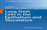Amy˜Firth Jason˜X.-J.˜Yuan Editors Lung Stem Cells in the ... fileStem Cell Biology and Regenerative Medicine Amy˜Firth Jason˜X.-J.˜Yuan Editors Lung Stem Cells in the Epithelium