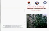  · Generalitñti privind specia Ambrosia artemisiifolia Ambrosia artemisiifolia (iarba pârloagelor) se gäsšte frecvent de-a lungul a cäilor ferate, atât in intravilan, cât