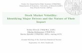 Stock Market Volatility: Identifying Major Drivers and the ...robinzoni.userweb.mwn.de/docs/robinzonov_innsbruck.pdf · CenterforQuantitativeRiskAnalysis(CEQURA) DepartmentofStatistics,UniversityofMunich(LMU)