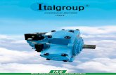 Dual displacement hydraulic motors - italgroup.eu · Dual displacement hydraulic motors The data specified into the catalogue are for product description purpose only and must not