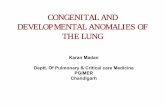 CONGENITAL ANDCONGENITAL AND DEVELOPMENTAL …indiachest.org/wp-content/.../Congenital-and-developmental-anomalies-of... · CONGENITAL ANDCONGENITAL AND DEVELOPMENTAL ANOMALIES OFDEVELOPMENTAL