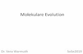 Molekulare Evolution - evol.bio.lmu.deevol.bio.lmu.de/.../bachelor/EvolBio1_VL4_Molekulare_Evolution_Handout.pdf · Wer ist näher verwandt... a) A green alga is more closely related