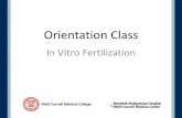 In Vitro Fertilization - IVF · What is In Vitro Fertilization (IVF)? A treatment in which: •fertility medications are used to stimulate the production and maturation of multiple