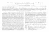 Revision of the genus Agelia Laporte and Gory (Coleoptera ...cerambycids.com/buprestidae/PDF/Gussmann/Gussmann 2002 Agelia.pdfRevision of the genus Agelia Laporte and Gory (Coleoptera: