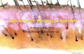 Skin Cancer: Biology & Therapy - Columbia University BIOLOGY... · Page 2 2800000 700000 60000 2500 8000 600 BCC SCC Melanoma Merkel Cell Carcinoma Incidence Death Annual Incidence