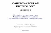 FIZIOLOGIA SISTEMULUI CARDIOVASCULAR 1_CV_2018.pdf · e.g., increase in muscular metabolic rate during physical activity muscular blood perfusion - resting conditions –4 ml/100g/min
