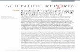 Genetic and morphological support for possible sympatric ...411) Segherloo_Scientific... · SciENtiFic REpORTS | (2018)8:2909 OI1.13s415-1-2-w 1 Genetic and morphological support