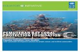 PEMUTERAN BAY CORAL PROTECTION FOUNDATION · PROJECT SUMMARY Pemuteran Bay Coral Protection Foundation was started in response to the collapse of the local fishing industry of the