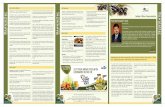 r N Indian Olive Association - indolive.orgOct-Dec 2015).pdf · The Association circulated the comparative data on import of olive oil with Italy and Spain breakups for the periods