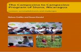The Campesino to Campesino Program of Siuna, Nicaragua All.pdf · Fundación PRISMA) based on his review of drafts of this report contributed to giving it greater clarity and structure.