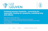 Postdural puncture headache preventing the impossible ... nov 1630 van der veldt.pdf · Marc Van de Velde, MD, PhD Professor of Anaesthesia, Catholic University Leuven (KUL) Chair