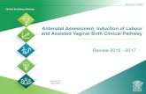 Antenatal Assessment, Induction of Labour and Assisted ... · The Statewide Antenatal Assessment Clinical Pathway is an initiative of the Statewide Maternity and Neonatal Clinical