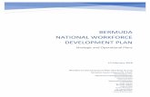 Bermuda National Workforce Development Plancloudfront.bernews.com/wp-content/uploads/2018/07/2018-National... · Policy and legislative Impact: Creation of Job description. (New proposed