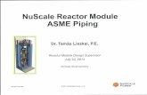 NuScale Reactor Module ASME Piping - nrc.gov · Overview 9 Address and outline design strategy for NuScale structure, system, and components and its first-of-a-kind (FOAK) design