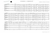 Anima Christi 50 gif - coroscalacoeli.es · ANIMA CHRISTI Música: Marco Frisina Anima Christi 1 de 1 . Coro Scala Coeli\r\r\r\r\r Málaga\r\r.