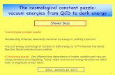 The cosmological constant puzzle: vacuum energies from QCD ...physik.uni-graz.at/~dk-user/talks/Bass_01232012.pdf · Gravity and particle physics Gravitation and the cosmological