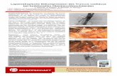 Laparoskopische Dekompression des Truncus coeliacus bei ... · 4 Funaki B. Compression of the celiac trunk by the median arcuate ligament. Radiology 2000; 214: 604 – 606 5 Kopecky